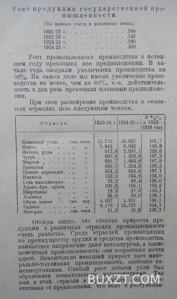 Конъюнктура народного хозяйства СССР и мирового в 1924-25 г. — изображение 5