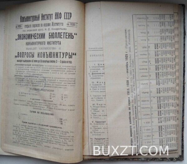 Конъюнктура народного хозяйства СССР и мирового в 1924-25 г. — изображение 6